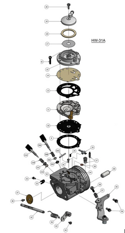 DIAPHRAGM